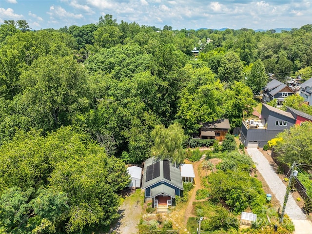 83 5th Ave, Asheville, NC 28806 - photo 30