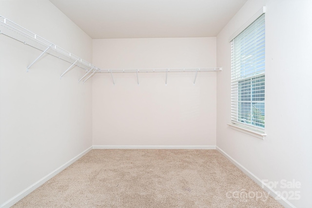 215 Lilys Pl, Lexington, NC 27292 - photo 23
