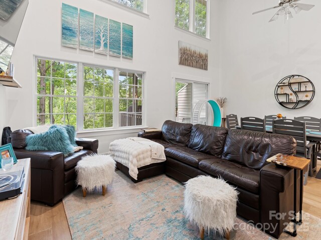 97 Farm Ln, Mills River, NC 28759 - photo 4