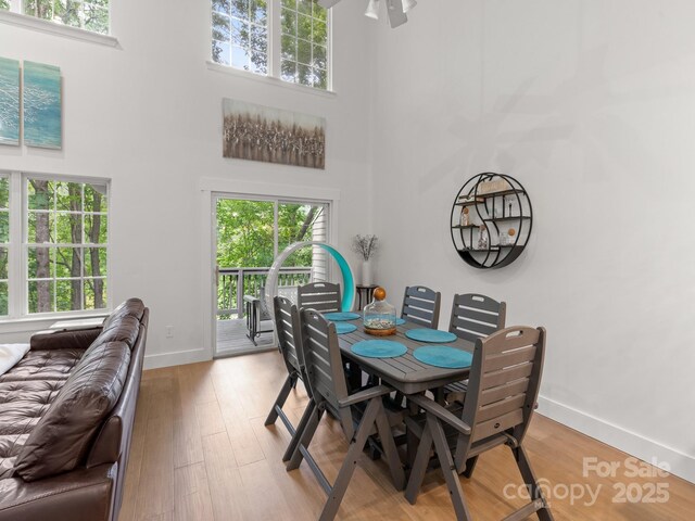 97 Farm Ln, Mills River, NC 28759 - photo 7