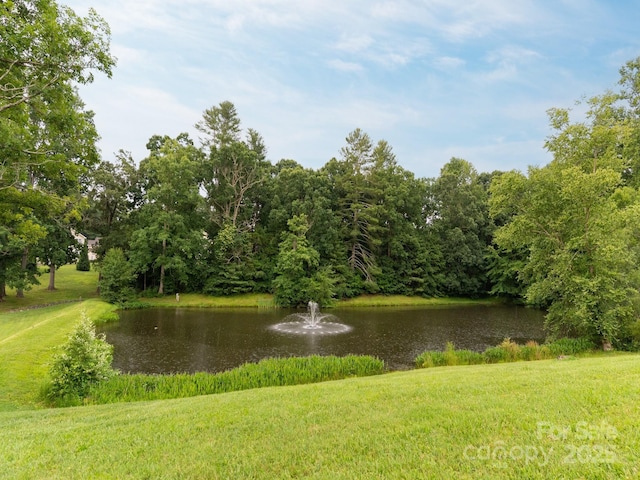 97 Farm Ln, Mills River, NC 28759 - photo 29