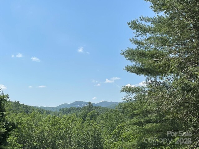 433 Leah Dr, Bakersville, NC 28705 - photo 3