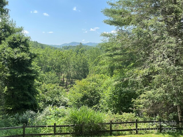 433 Leah Dr, Bakersville, NC 28705 - photo 4