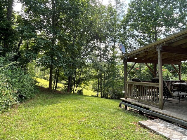 433 Leah Dr, Bakersville, NC 28705 - photo 36