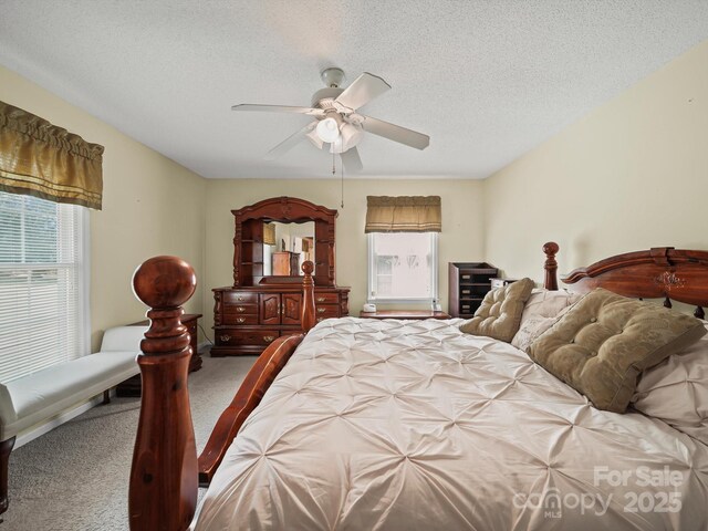1302 Hawthorne Rd, Lancaster, SC 29720 - carpeted bedroom with multiple windows, a textured ceiling, and a ceiling fan