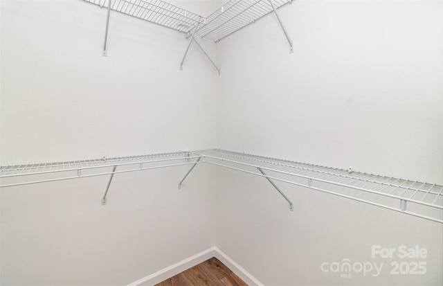 5234 Bellflower Ln, Charlotte, NC 28227 - photo 21