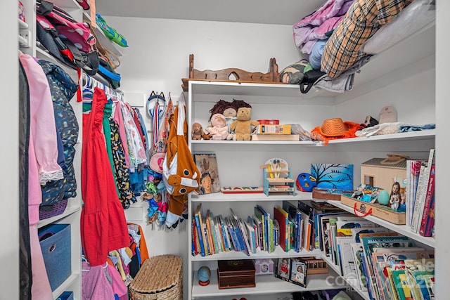2358 Sparrow Dr, Rock Hill, SC 29732 - view of spacious closet