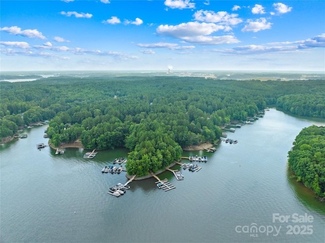 2455 Talbot Ct, Sherrills Ford, NC 28673 - photo 38