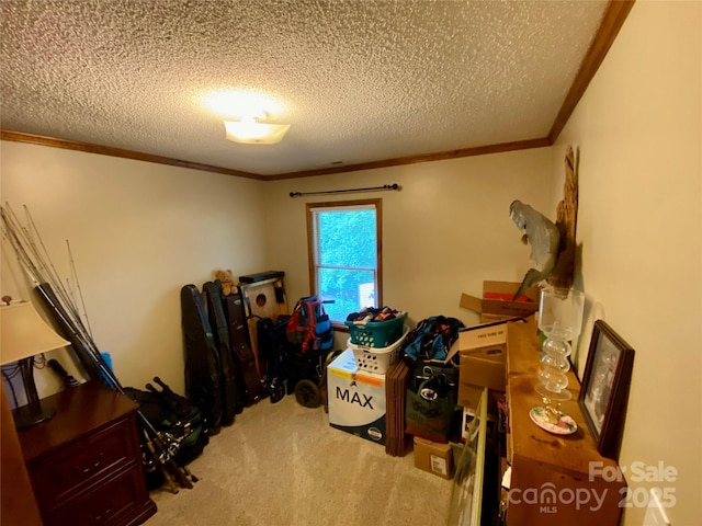 12623 Levins Hall Rd, Huntersville, NC 28078 - photo 18