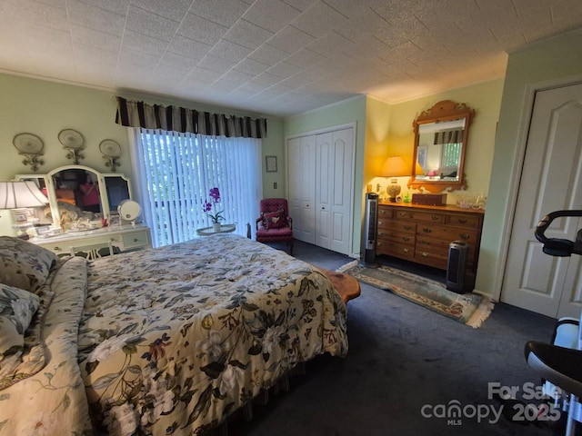 217 Shortoff Ln, Highlands, NC 28741 - carpeted bedroom with crown molding and a closet