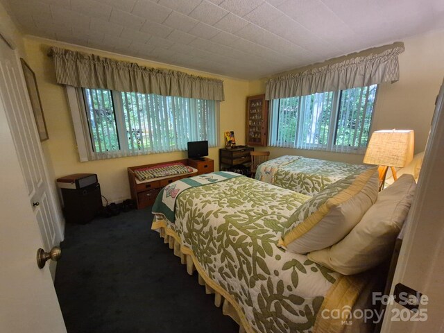 217 Shortoff Ln, Highlands, NC 28741 - bedroom with carpet