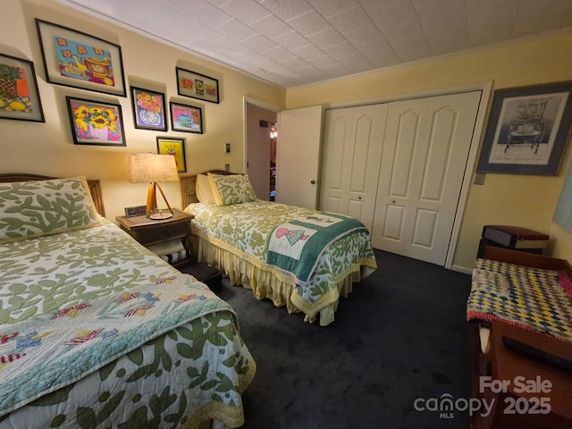 217 Shortoff Ln, Highlands, NC 28741 - bedroom featuring a closet and carpet floors