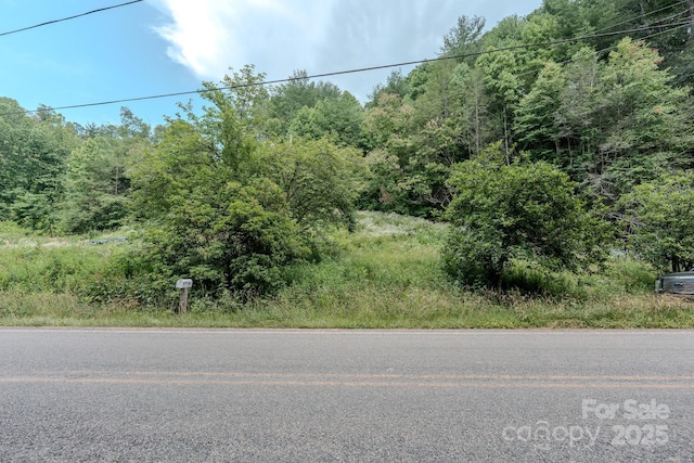 582 Poplar Creek Rd, Green Mountain, NC 28740 - photo 3