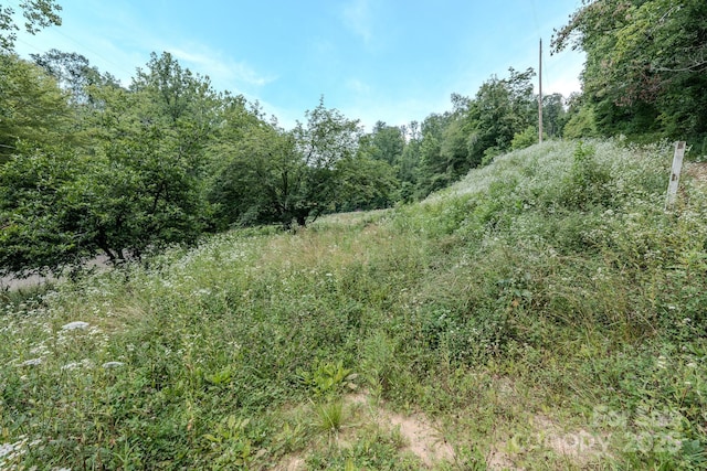 582 Poplar Creek Rd, Green Mountain, NC 28740 - photo 4