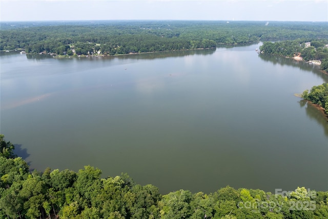 221 N Centurion Ln, Mount Holly, NC 28120 - aerial view of a heavily wooded area and a large body of water