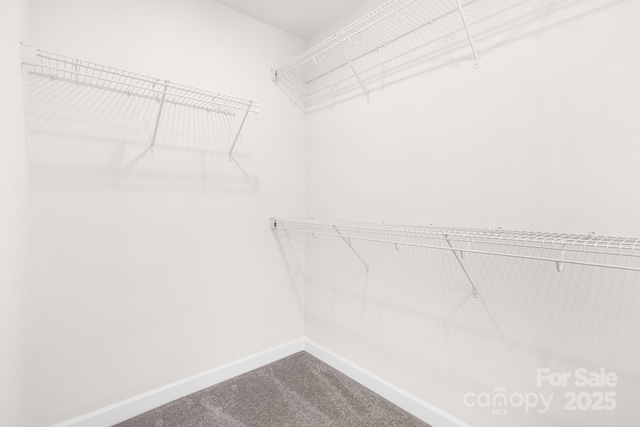 3537 Auburn Curb Rd, Charlotte, NC 28217 - photo 19