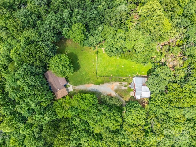 24302434 Mountain Page Rd, Saluda, NC 28773 - photo 4
