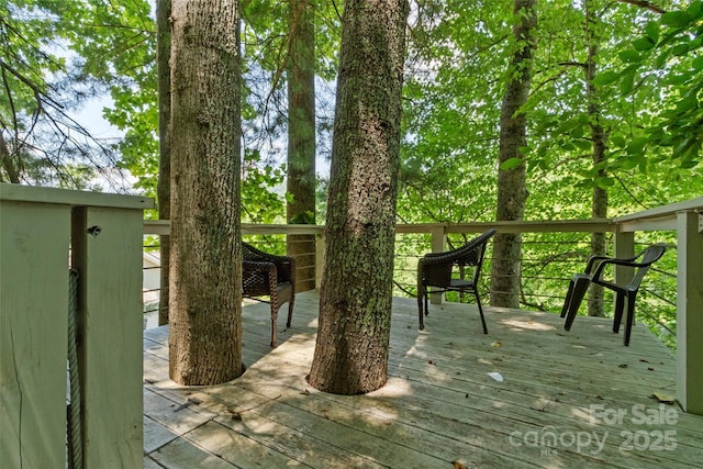 189 Poverty Branch Rd, Barnardsville, NC 28709 - photo 38