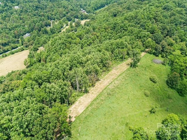 189 Poverty Branch Rd, Barnardsville, NC 28709 - photo 47