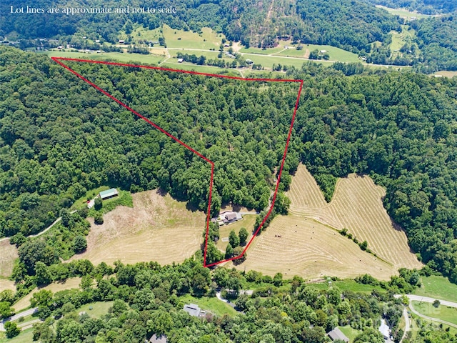 189 Poverty Branch Rd, Barnardsville, NC 28709 - photo 48