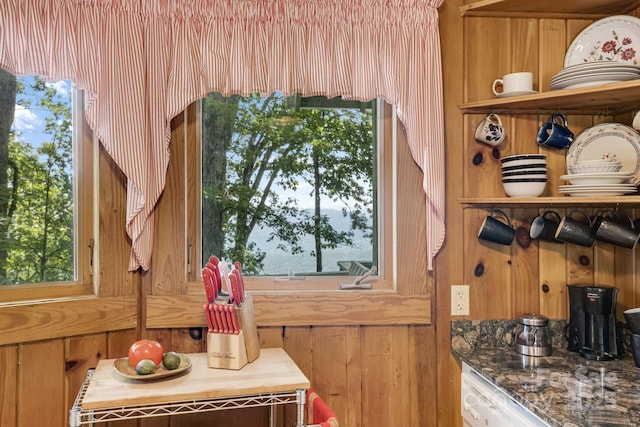 203 Laurel Ln, Little Switzerland, NC 28752 - detailed view of wooden walls and dishwasher