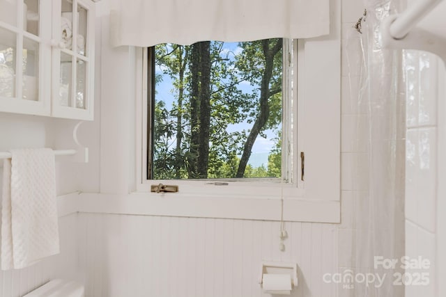 203 Laurel Ln, Little Switzerland, NC 28752 - detailed view