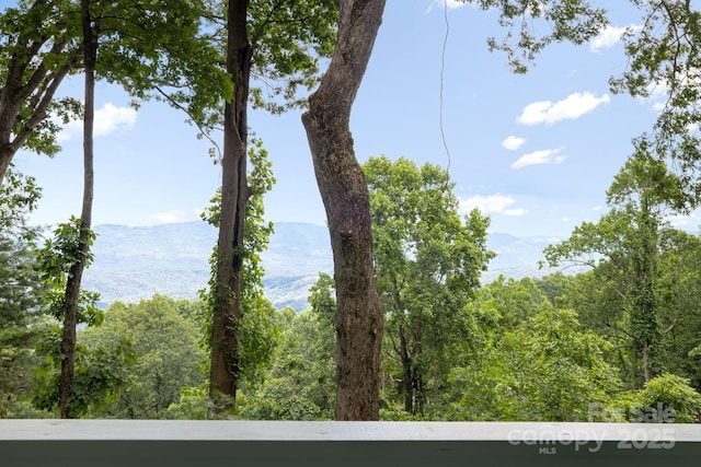 203 Laurel Ln, Little Switzerland, NC 28752 - water view featuring mountains and a heavily wooded area
