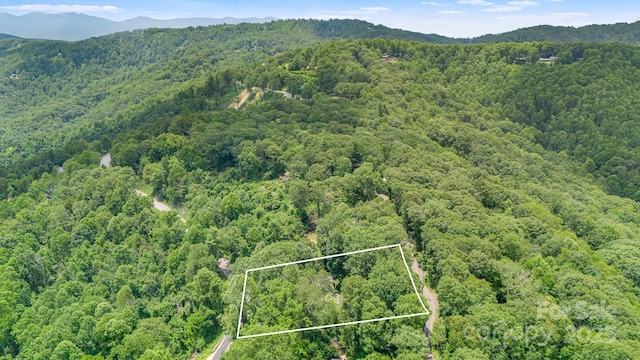 203 Laurel Ln, Little Switzerland, NC 28752 - view of property location with a mountain backdrop and property boundaries highlighted