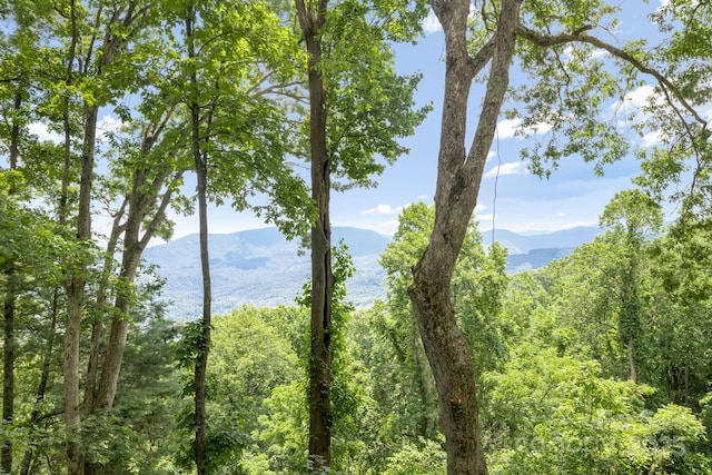 203 Laurel Ln, Little Switzerland, NC 28752 - view of mountain backdrop featuring a heavily wooded area