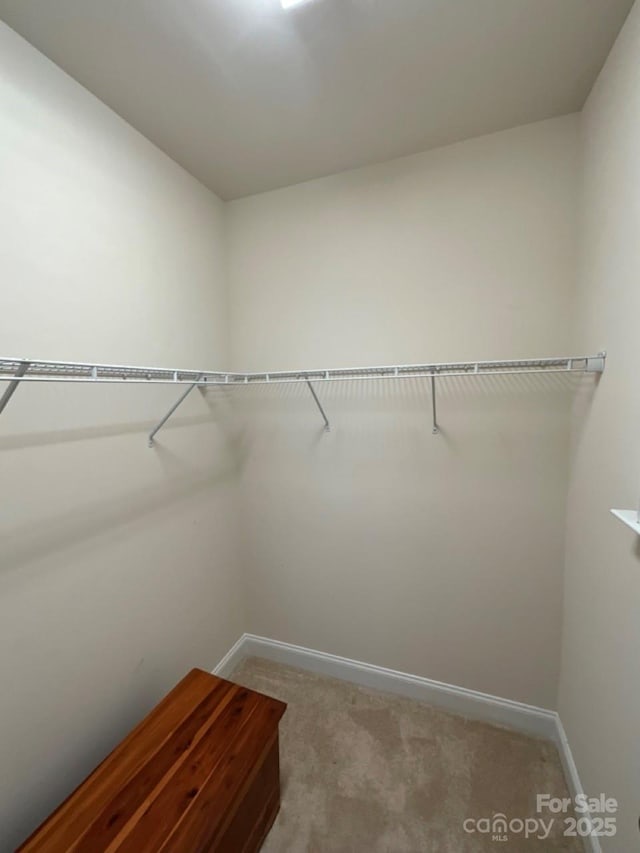 11608 Founders Park Ln, Pineville, NC 28134 - spacious closet with carpet floors