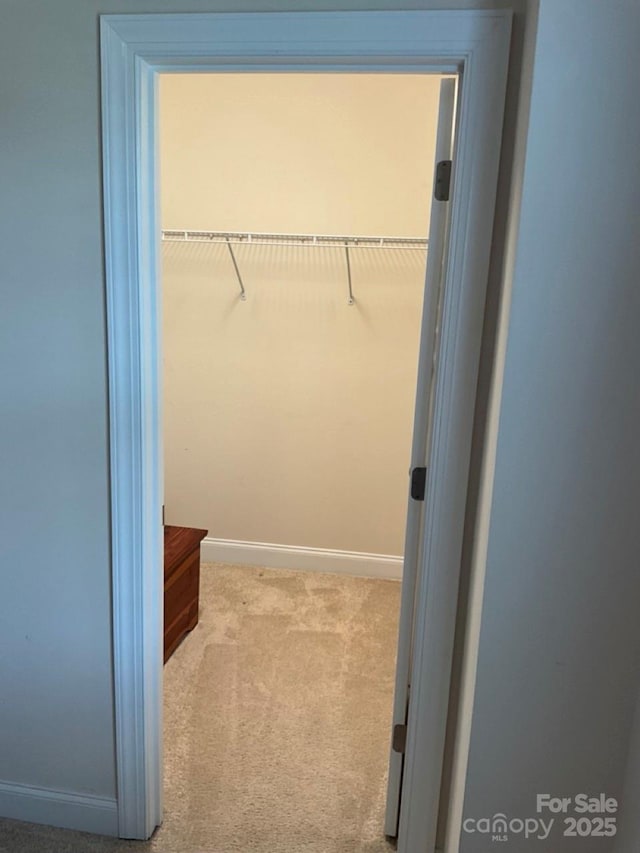11608 Founders Park Ln, Pineville, NC 28134 - walk in closet featuring carpet floors