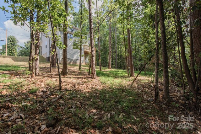 2206 Hillcrest Ave, Albemarle, NC 28001 - view of undeveloped land