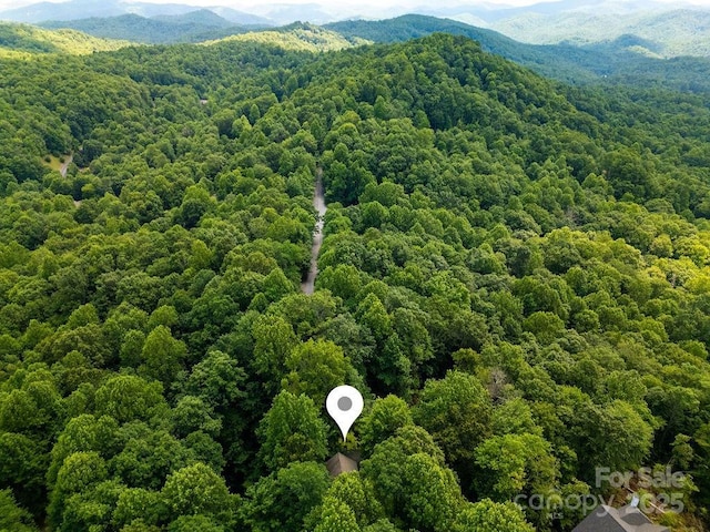 2023 Connestee Trl, Brevard, NC 28712 - photo 2