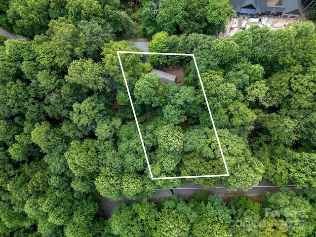 2023 Connestee Trl, Brevard, NC 28712 - photo 3