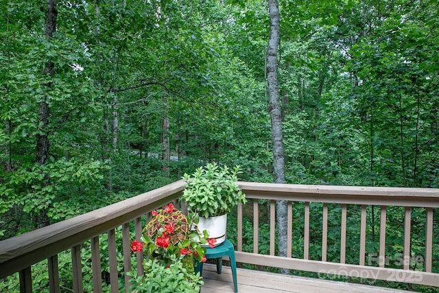2023 Connestee Trl, Brevard, NC 28712 - photo 18