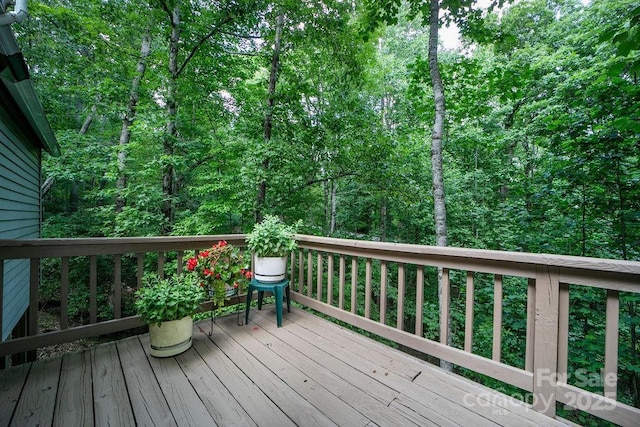 2023 Connestee Trl, Brevard, NC 28712 - photo 35