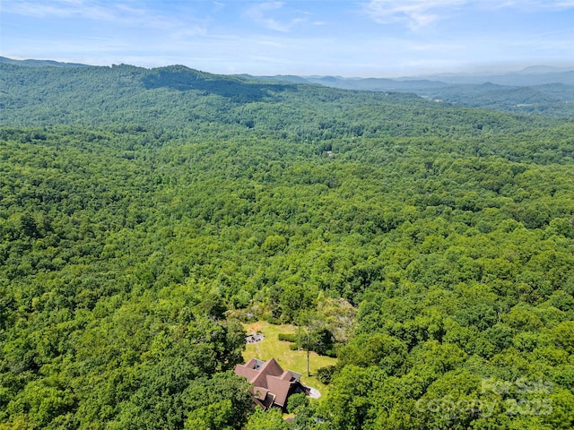 1909 Kentwood Ln, Pisgah Forest, NC 28768 - photo 6