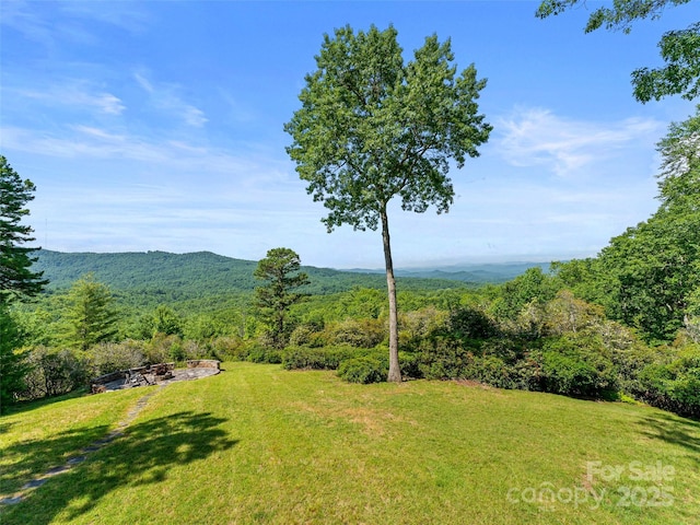 1909 Kentwood Ln, Pisgah Forest, NC 28768 - photo 3