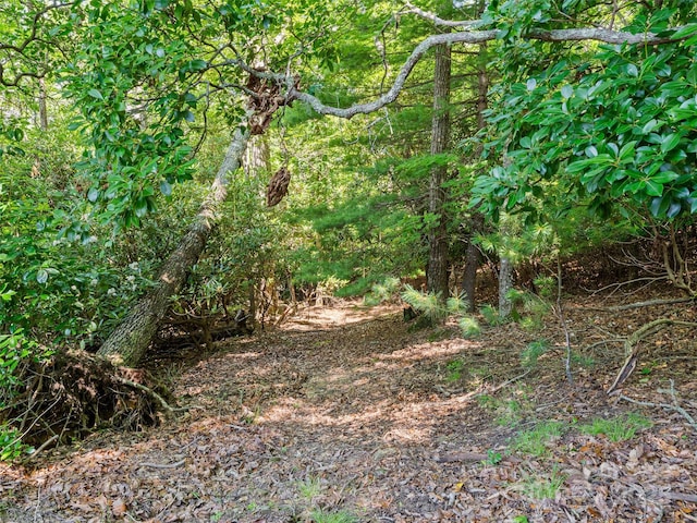 1909 Kentwood Ln, Pisgah Forest, NC 28768 - photo 43