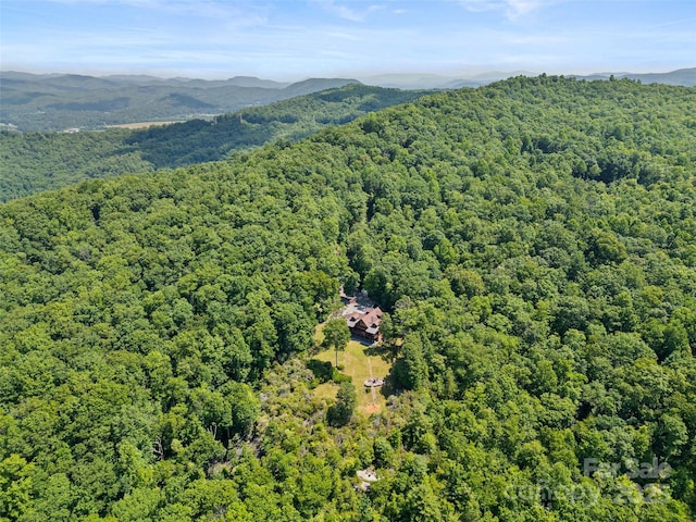 1909 Kentwood Ln, Pisgah Forest, NC 28768 - photo 44