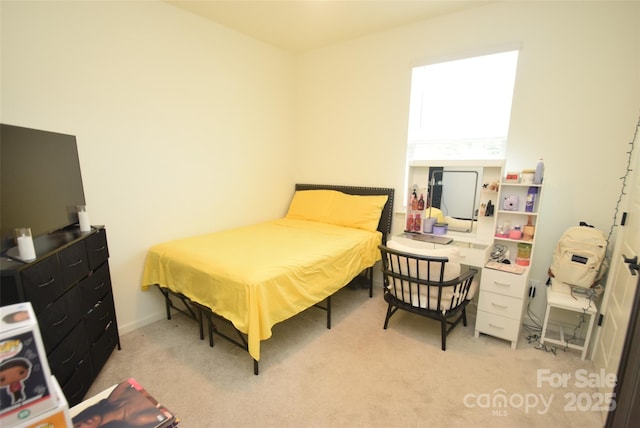12209 Riceland Way, Midland, NC 28107 - view of carpeted bedroom
