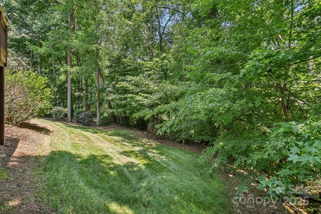 9735 Devonshire Dr, Huntersville, NC 28078 - photo 34
