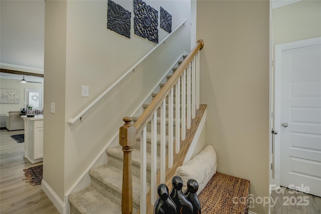 9507 Pointer Rd, Huntersville, NC 28078 - photo 26