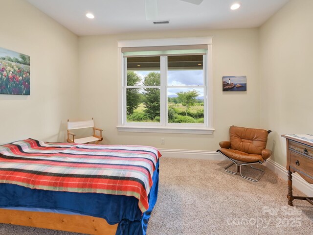 383 Ridgeview Hill Dr, Hendersonville, NC 28791 - photo 32