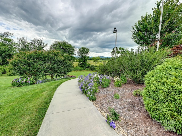383 Ridgeview Hill Dr, Hendersonville, NC 28791 - photo 36