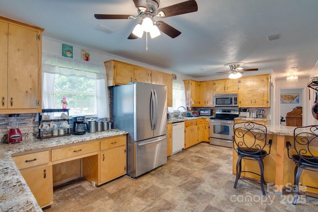 2310 Honeysuckle Pl, Lenoir, NC 28645 - kitchen with stainless steel appliances, ceiling fan, tasteful backsplash, and plenty of natural light