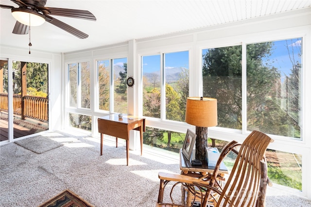 311 Coyote Hollow Rd, Waynesville, NC 28785 - photo 5