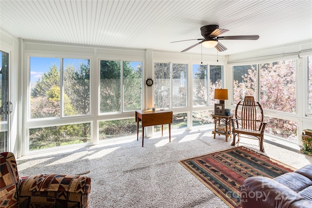 311 Coyote Hollow Rd, Waynesville, NC 28785 - photo 6