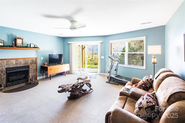 311 Coyote Hollow Rd, Waynesville, NC 28785 - photo 15