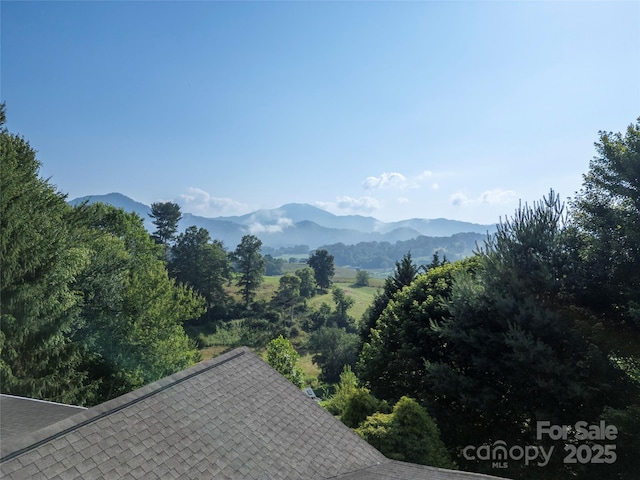 311 Coyote Hollow Rd, Waynesville, NC 28785 - photo 28